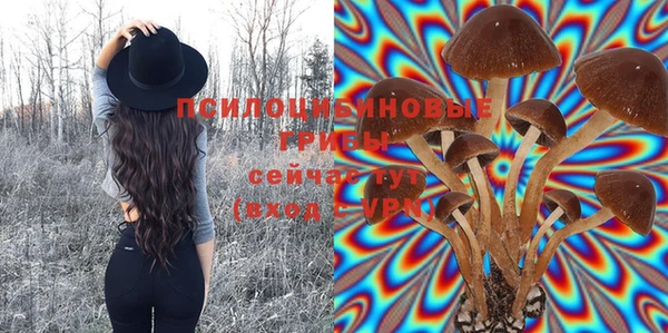 a pvp Абинск