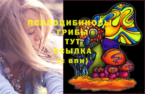 амф Надым